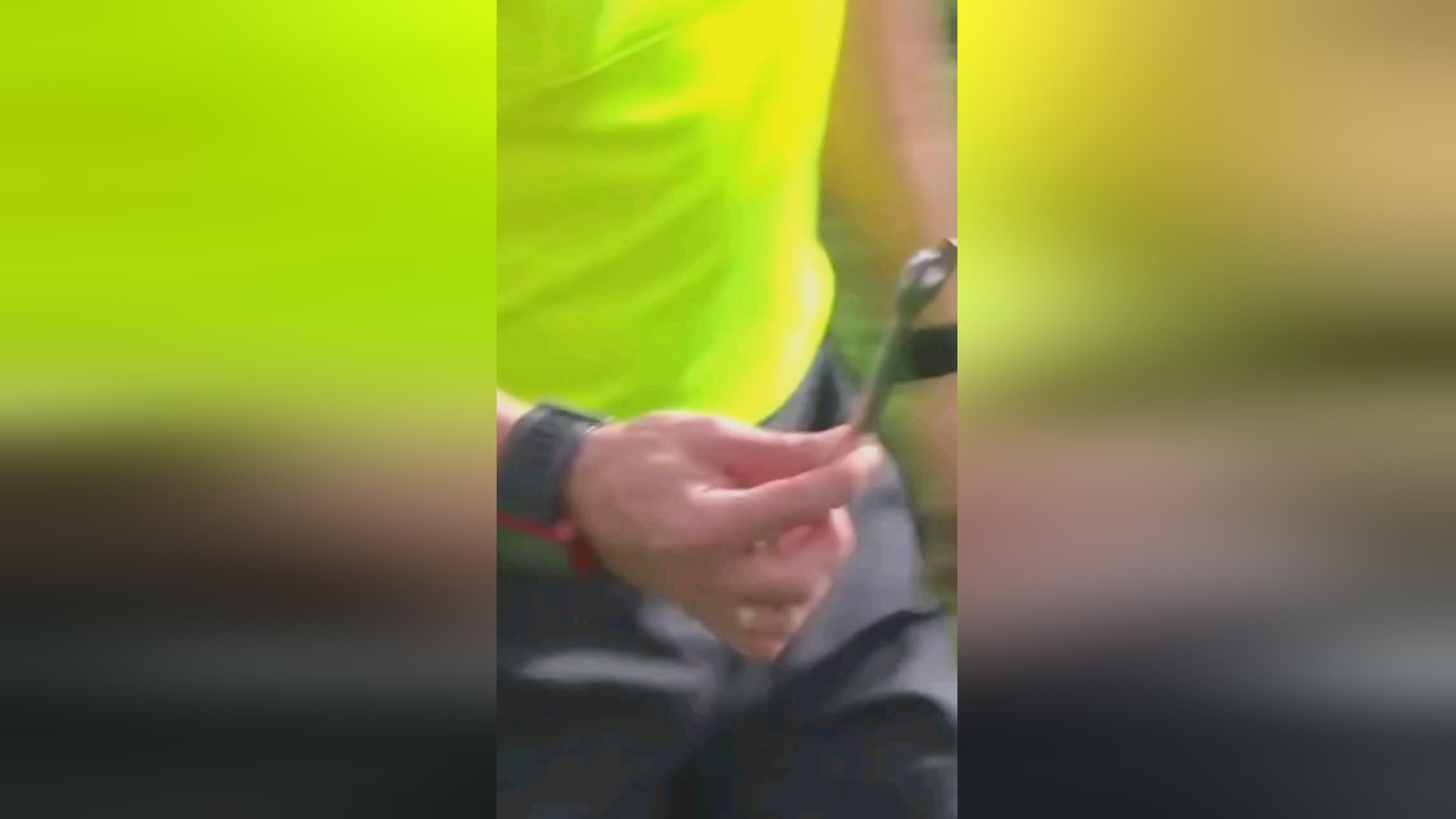 向大